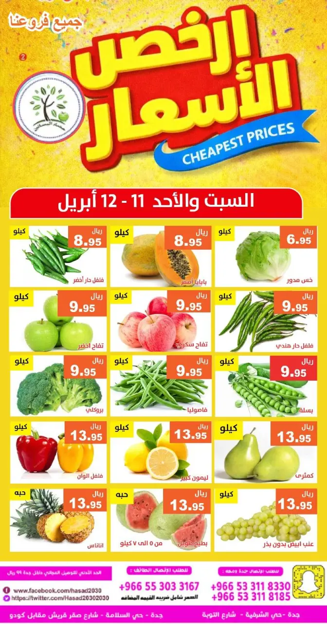 عروض حصاد البساتين السعودية من ٢٣ حتى ٢٤ شوال ١٤٤٧ هـ (١١ إلى ١٢ أبريل ٢٠٢٦) أرخص الأسعار - صفحة 2