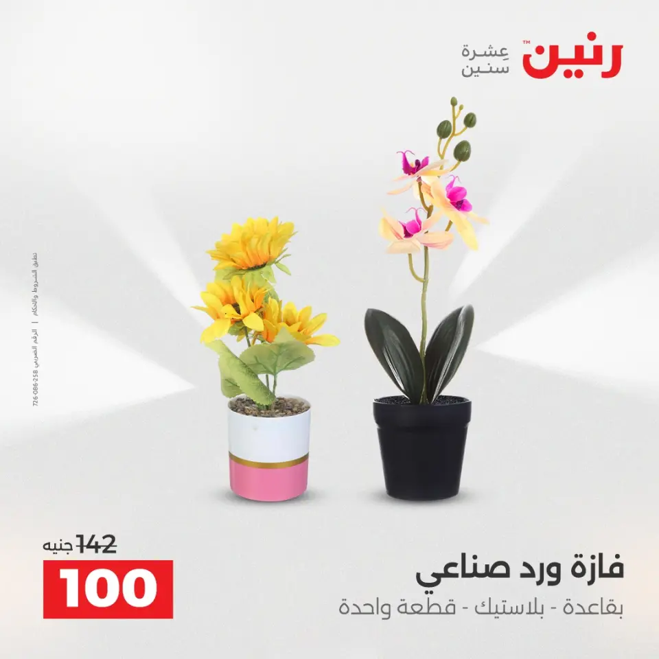 عروض هدايا وديكورات فى رنين من ١٢ حتى ١٣ أبريل ٢٠٢٦ - صفحة 53