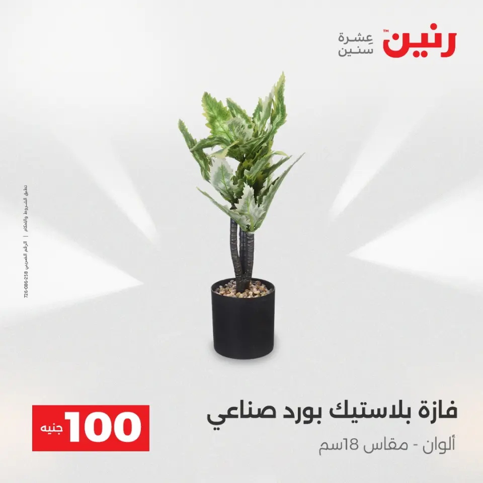 La Oferta de los 100 EGP en Raneen, del 14 al 15 abril 2026 - Página 66