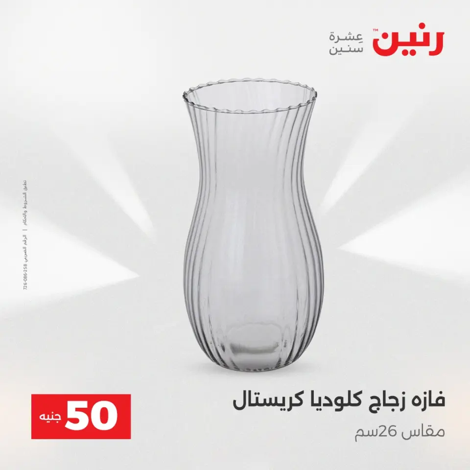 عرض ال 50 جنيه فى رنين من ١٤ حتى ١٥ أبريل ٢٠٢٦ - صفحة 31