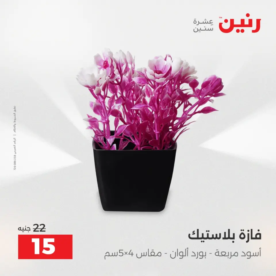 عروض هدايا وديكورات فى رنين من ١٦ حتى ١٨ أبريل ٢٠٢٦ - صفحة 41