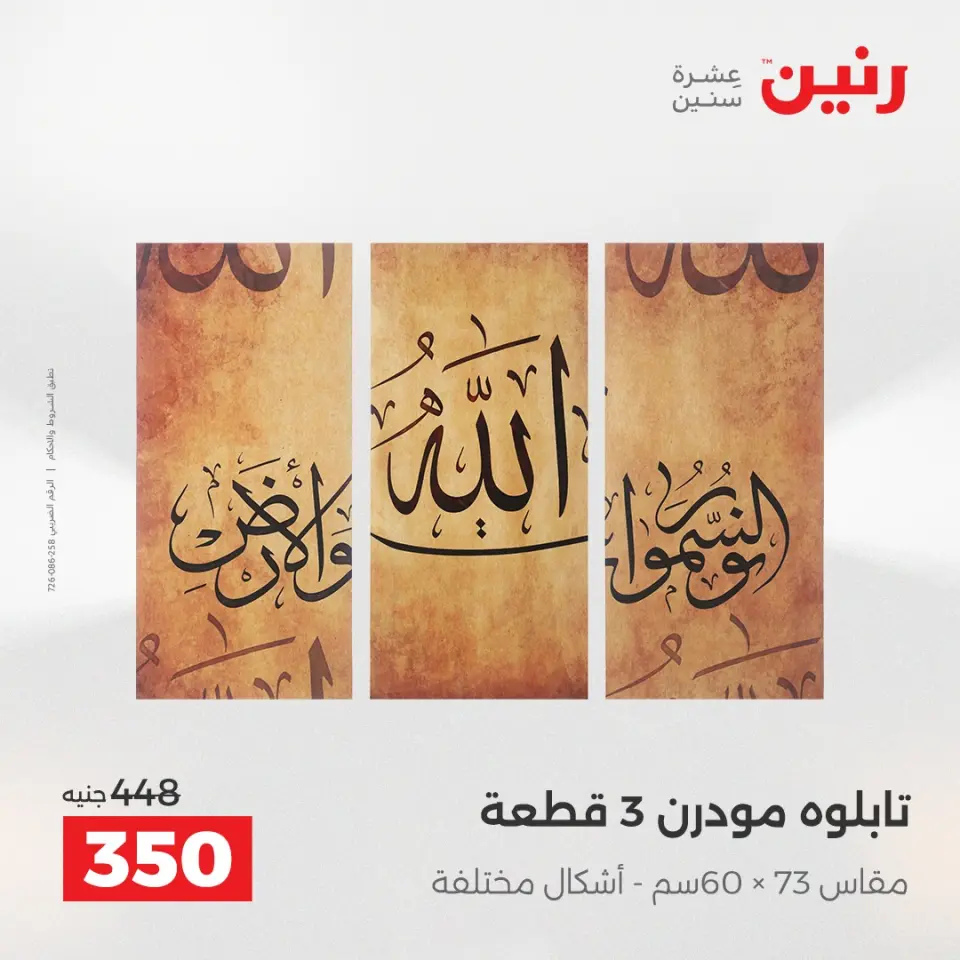 عروض هدايا وديكورات فى رنين من ١٦ حتى ١٨ أبريل ٢٠٢٦ - صفحة 11