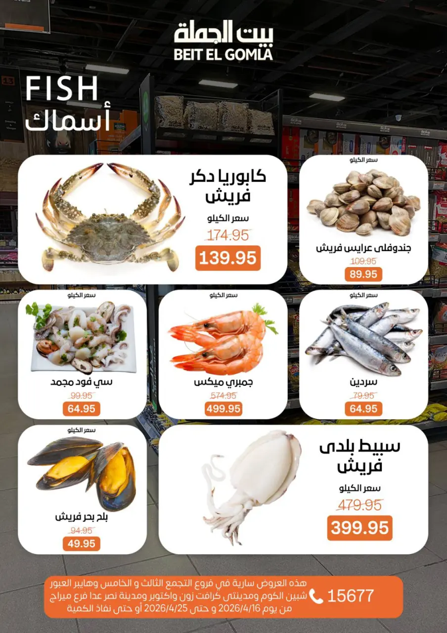 Savings Season Offers at Gomla House, from 16 to 25 April 2026 - Page 10