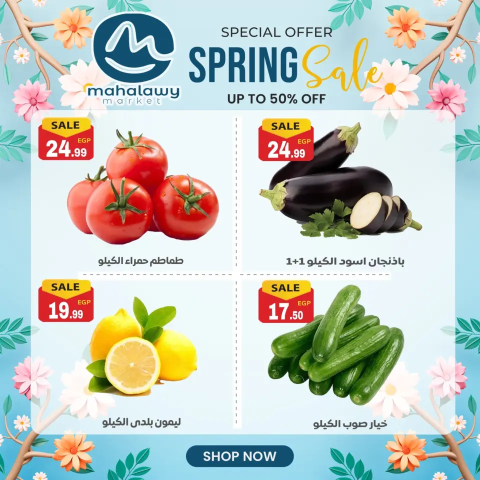 Oferta de primavera en El mhallawy Sons, del 14 al 20 abril 2026 - Página 9