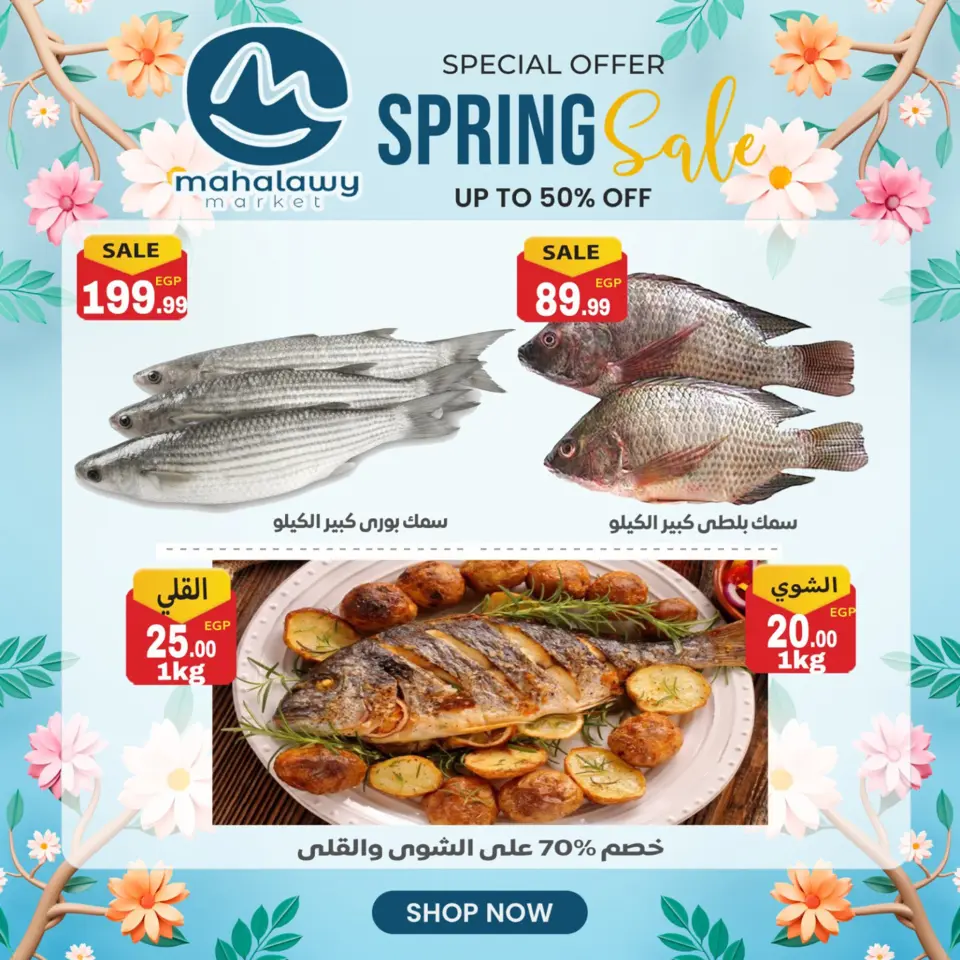 Oferta de primavera en El mhallawy Sons, del 14 al 20 abril 2026 - Página 2
