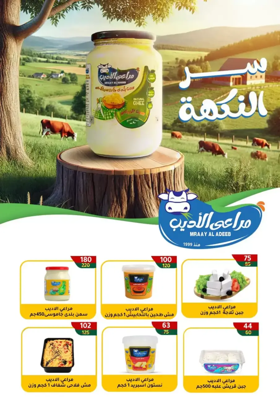 Wekalet Elmansoura Egypt offers from 16 April to 5 May 2026 Spring offers - Page 12