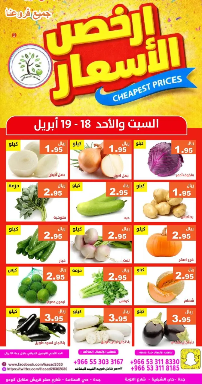 عروض حصاد البساتين السعودية من ١ حتى ٢ ذو القعدة ١٤٤٧ هـ (١٨ إلى ١٩ أبريل ٢٠٢٦) أرخص الأسعار - صفحة 2