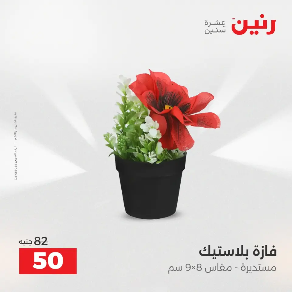عروض هدايا وديكورات فى رنين من ١٩ حتى ٢٠ أبريل ٢٠٢٦ - صفحة 57