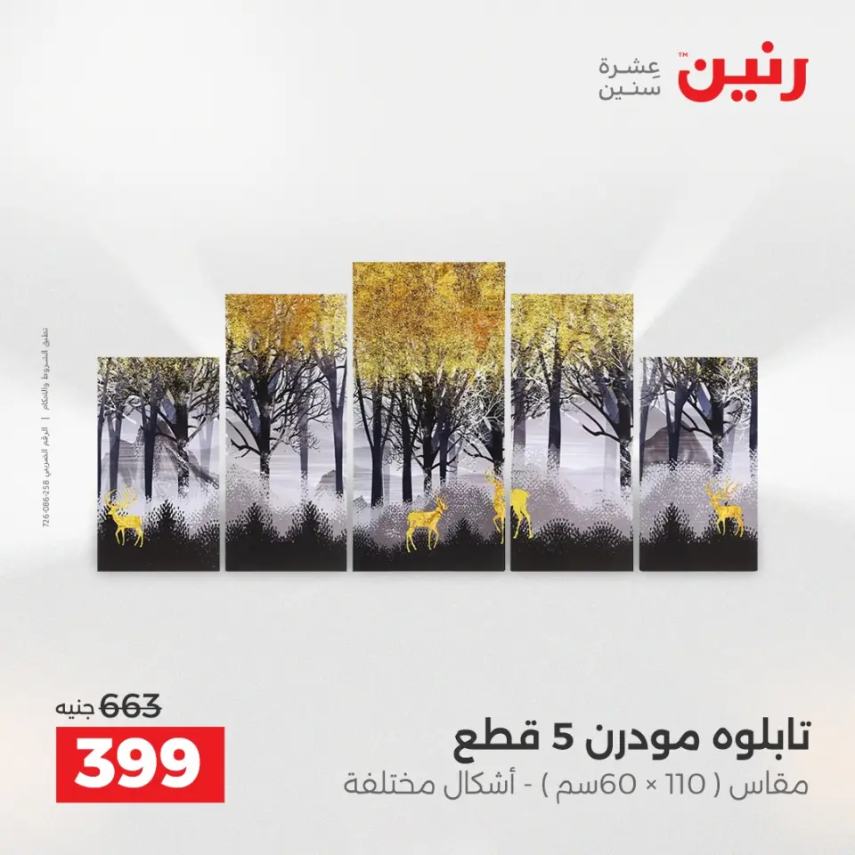 عروض هدايا وديكورات فى رنين من ١٩ حتى ٢٠ أبريل ٢٠٢٦ - صفحة 10