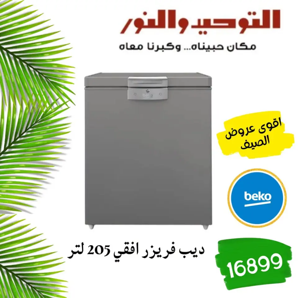 SUMMER SAVINGS at Al Tawheed Welnour, from 18 to 24 April 2026 - Page 17