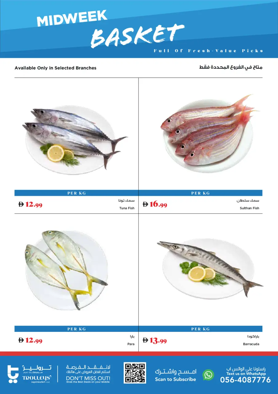 Offres supermarché Trolleys Émirats arabes unis de 21 à 22 avril 2026 Offres de milieu de semaine - supermarché Trolleys - Émirats arabes unis - 21 avril 2026 – 22 avril 2026 - Page 3