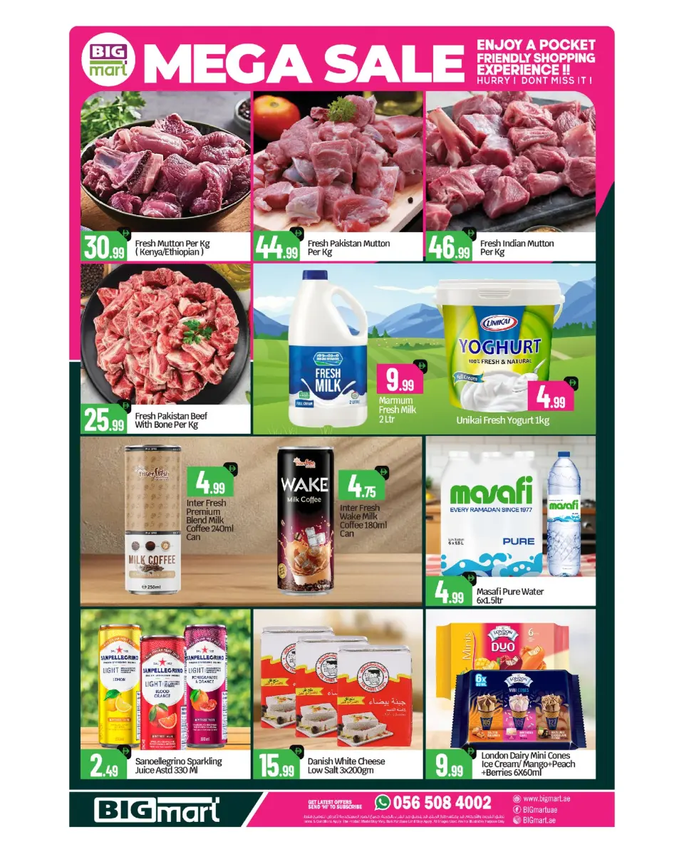 BIGmart offers in Bada Zayed from 24 to 26 April 2026 MEGA SALE - BIGmart - UAE - 23 April 2026 – 26 April 2026 - Page 3