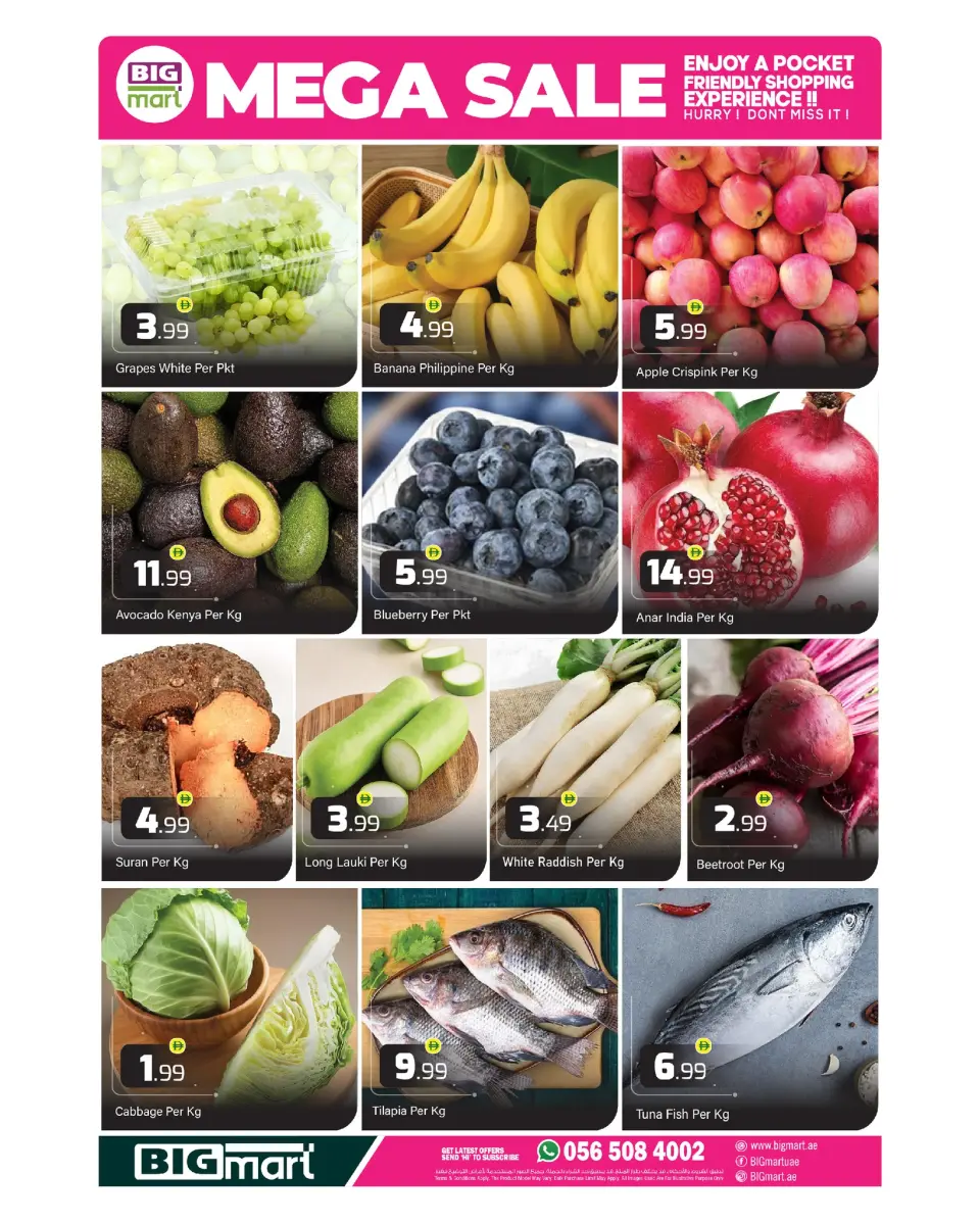 BIGmart offers in Bada Zayed from 24 to 26 April 2026 MEGA SALE - BIGmart - UAE - 23 April 2026 – 26 April 2026 - Page 2