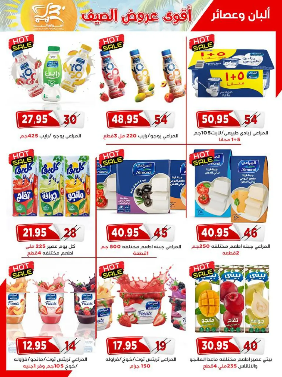 Al Bader markets Egypt offers from 25 April to 10 May 2026 Top Summer Deals - Page 9