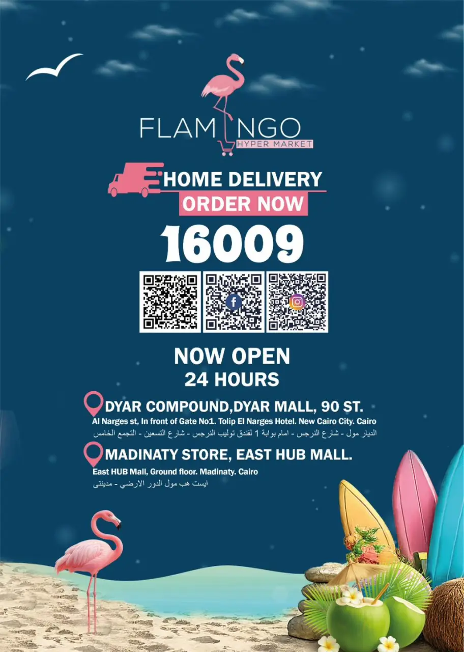 Flamingo Hypermarket Egypt offers from 27 April to 10 May 2026 Summer time Deals - Page 36