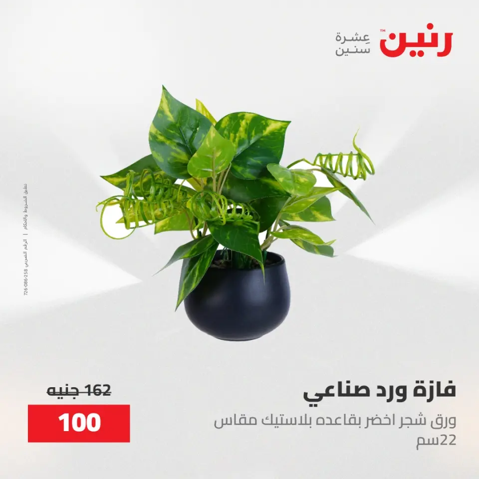 عروض رنين من ٢٨ حتى ٢٩ أبريل ٢٠٢٦ عروض هدايا وديكورات - صفحة 53
