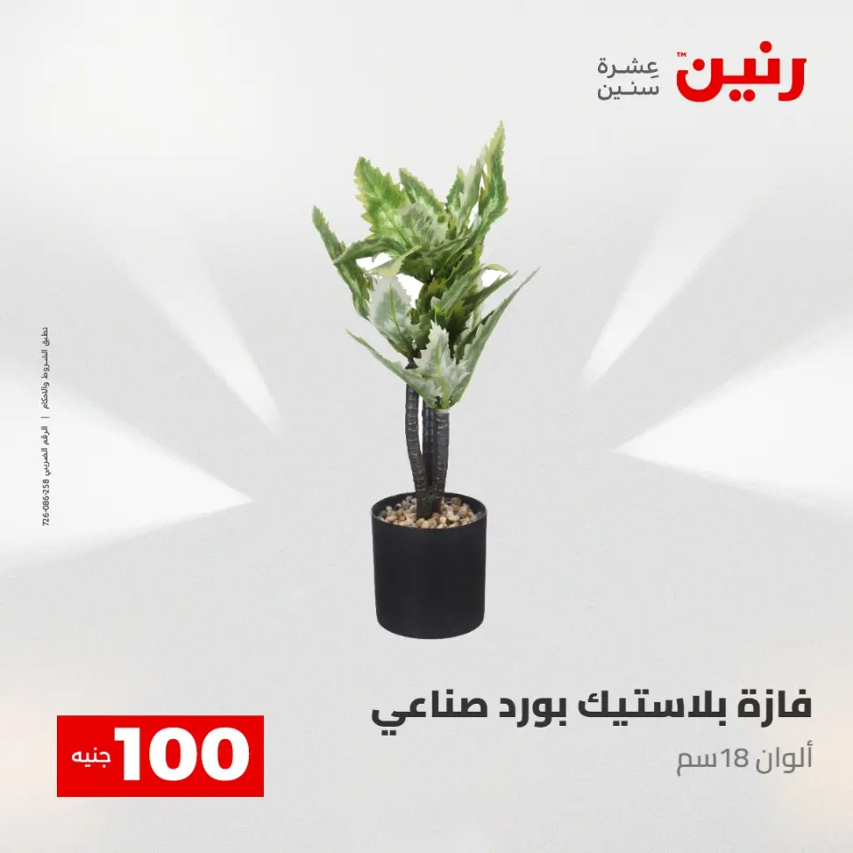 عروض رنين من ٢٨ حتى ٢٩ أبريل ٢٠٢٦ عرض ال 100 جنيه - صفحة 46