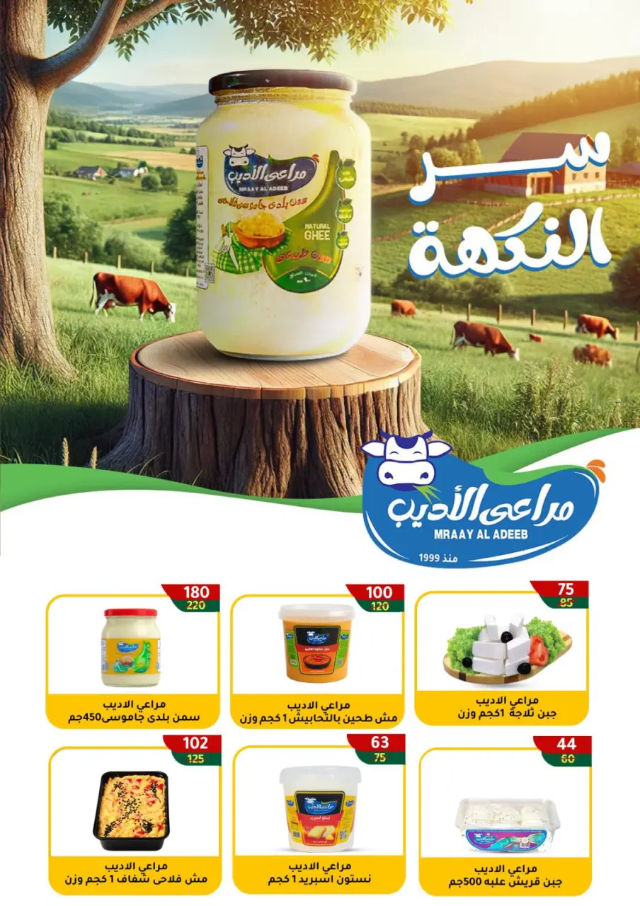 Wekalet Elmansoura Egypt offers from 6 to 16 May 2026 Spring offers - Page 12