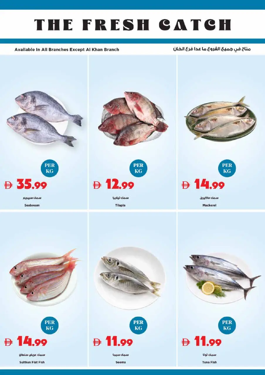 Ofertas de supermercado Trolleys Emiratos Árabes Unidos de 7 a 10 mayo 2026 Ofertas de belleza - Página 26