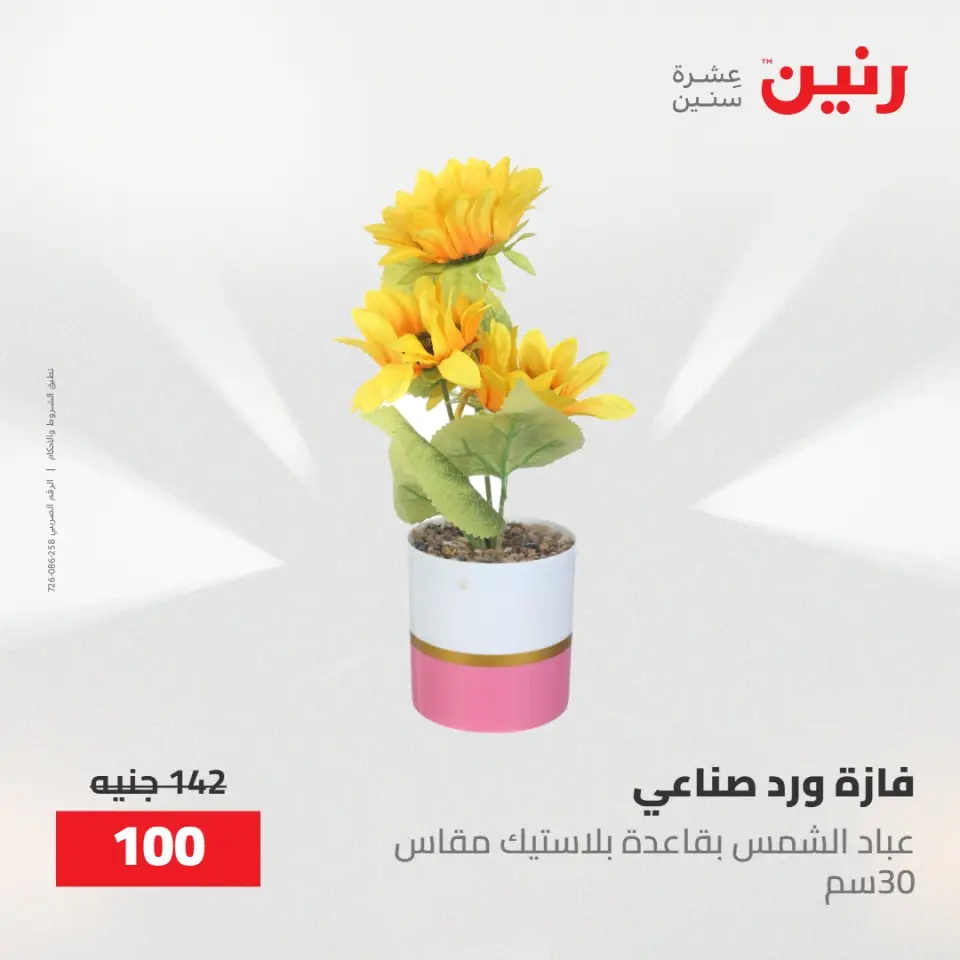 عروض رنين من ١٠ حتى ١١ مايو ٢٠٢٦ عروض هدايا وديكورات - صفحة 61