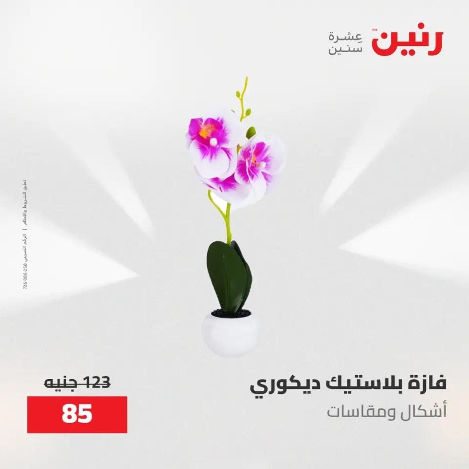 عروض رنين من ١٠ حتى ١١ مايو ٢٠٢٦ عروض هدايا وديكورات - صفحة 62