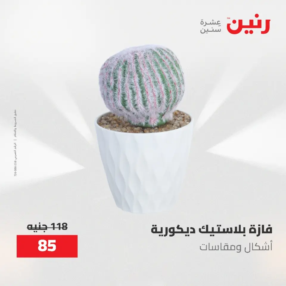 Ofertas de Raneen de 12 a 13 mayo 2026 Ofertas de Regalos y Decoraciones - Página 61