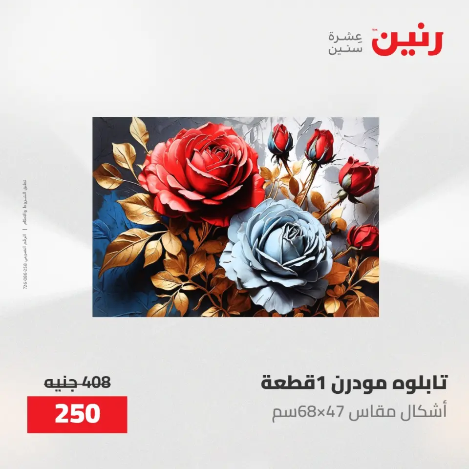 عروض رنين من ١٤ حتى ١٦ مايو ٢٠٢٦ عروض هدايا وديكورات - صفحة 10