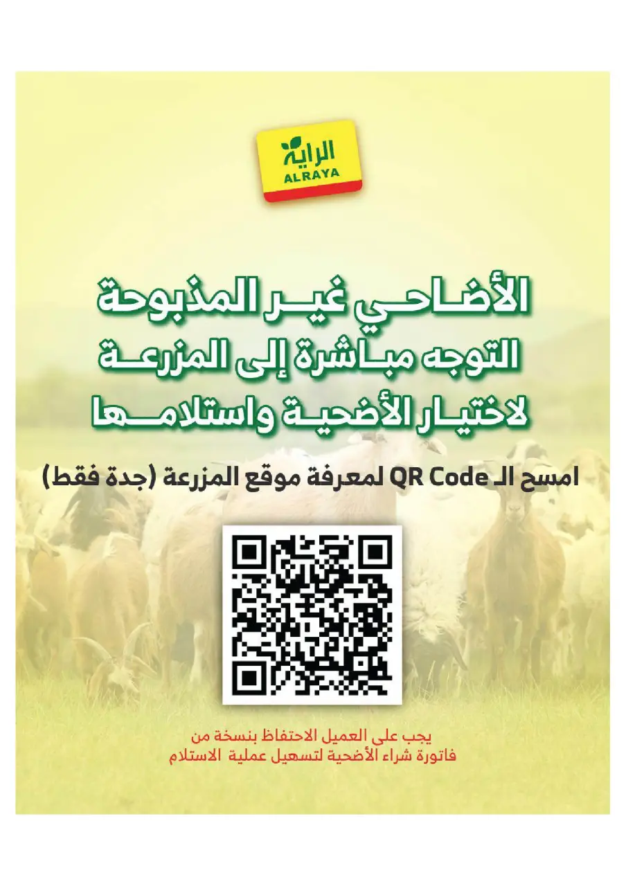 Ofertas de Mercado Al Rayah Arabia Saudita de 27 Dhuʻl-Qiʻdah a 3 Dhuʻl-Hijjah 1447 AH (14 – 20 mayo 2026) Reserva tus ofertas de sacrificio - Página 2