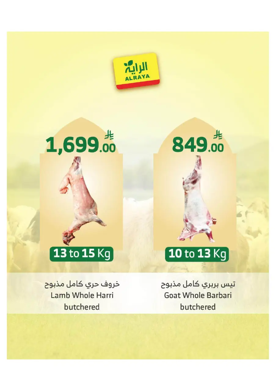 Ofertas de Mercado Al Rayah Arabia Saudita de 27 Dhuʻl-Qiʻdah a 3 Dhuʻl-Hijjah 1447 AH (14 – 20 mayo 2026) Reserva tus ofertas de sacrificio - Página 11