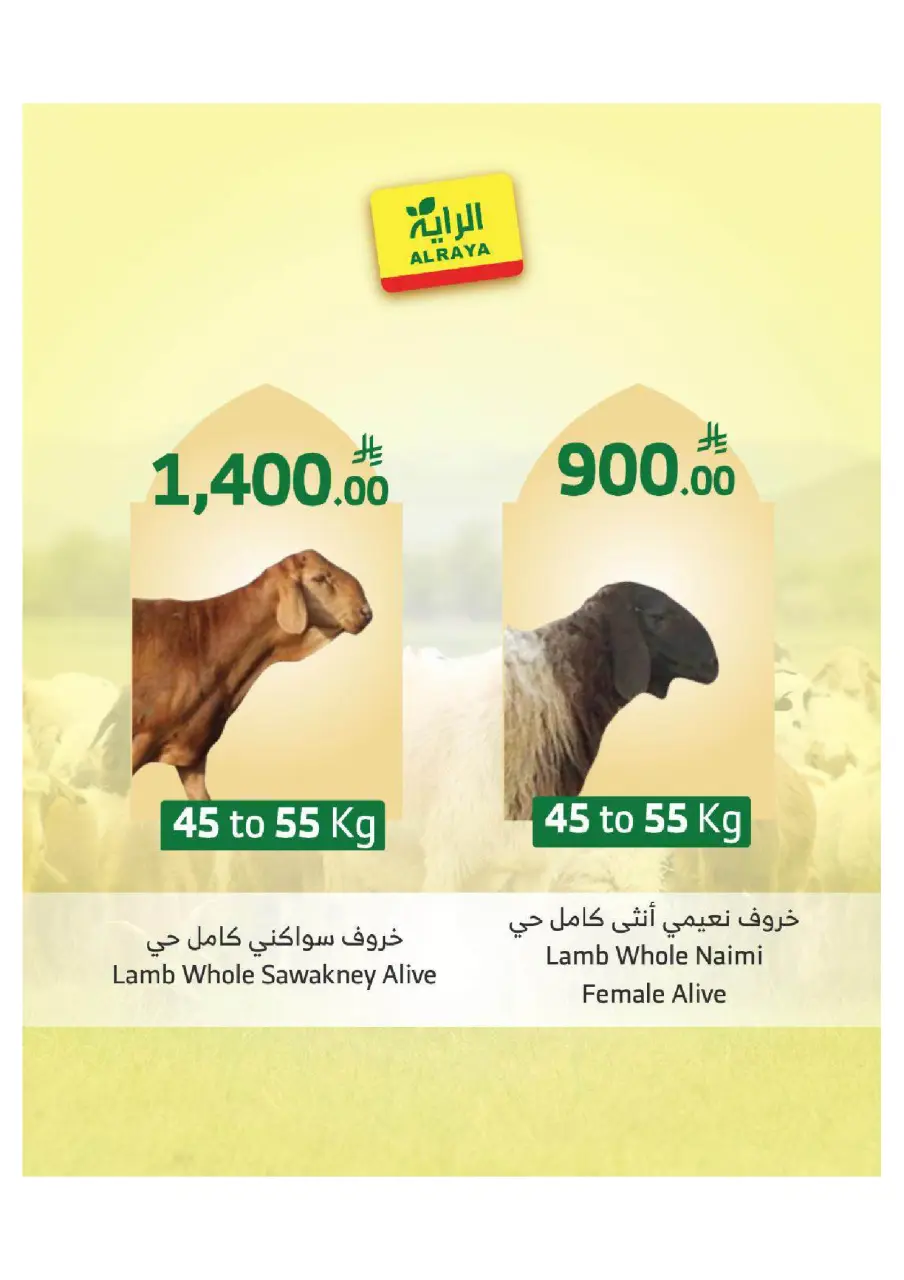 Ofertas de Mercado Al Rayah Arabia Saudita de 27 Dhuʻl-Qiʻdah a 3 Dhuʻl-Hijjah 1447 AH (14 – 20 mayo 2026) Reserva tus ofertas de sacrificio - Página 4