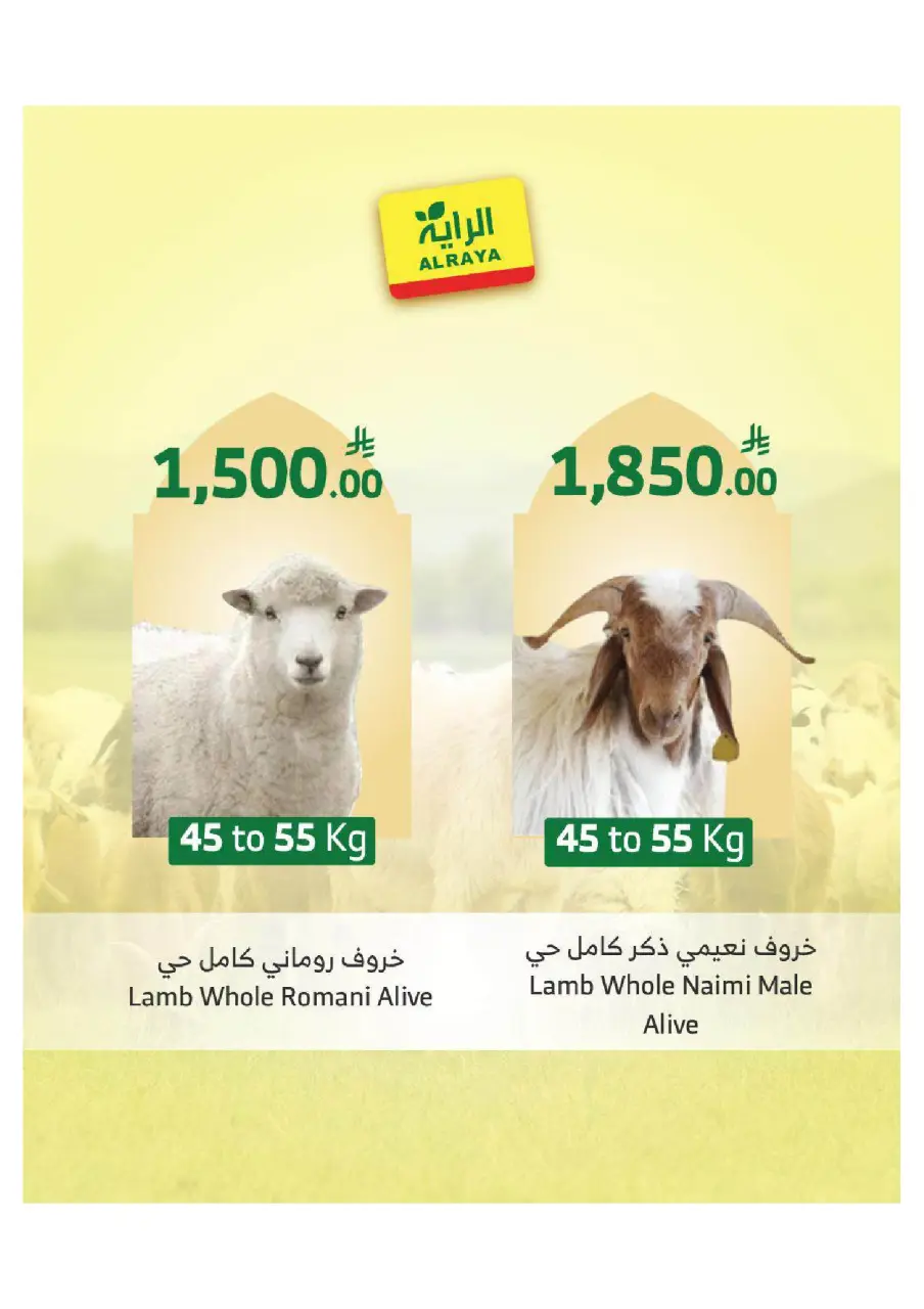 Ofertas de Mercado Al Rayah Arabia Saudita de 27 Dhuʻl-Qiʻdah a 3 Dhuʻl-Hijjah 1447 AH (14 – 20 mayo 2026) Reserva tus ofertas de sacrificio - Página 6