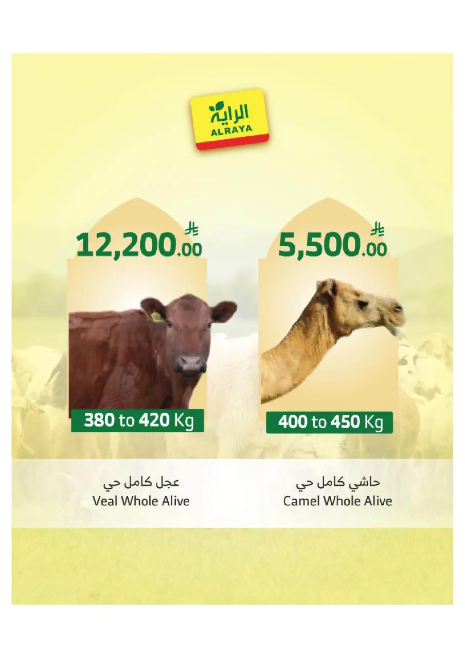 Ofertas de Mercado Al Rayah Arabia Saudita de 27 Dhuʻl-Qiʻdah a 3 Dhuʻl-Hijjah 1447 AH (14 – 20 mayo 2026) Reserva tus ofertas de sacrificio - Página 7