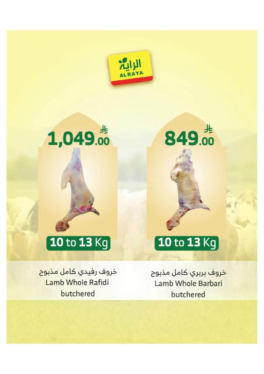 Ofertas de Mercado Al Rayah Arabia Saudita de 27 Dhuʻl-Qiʻdah a 3 Dhuʻl-Hijjah 1447 AH (14 – 20 mayo 2026) Reserva tus ofertas de sacrificio - Página 9