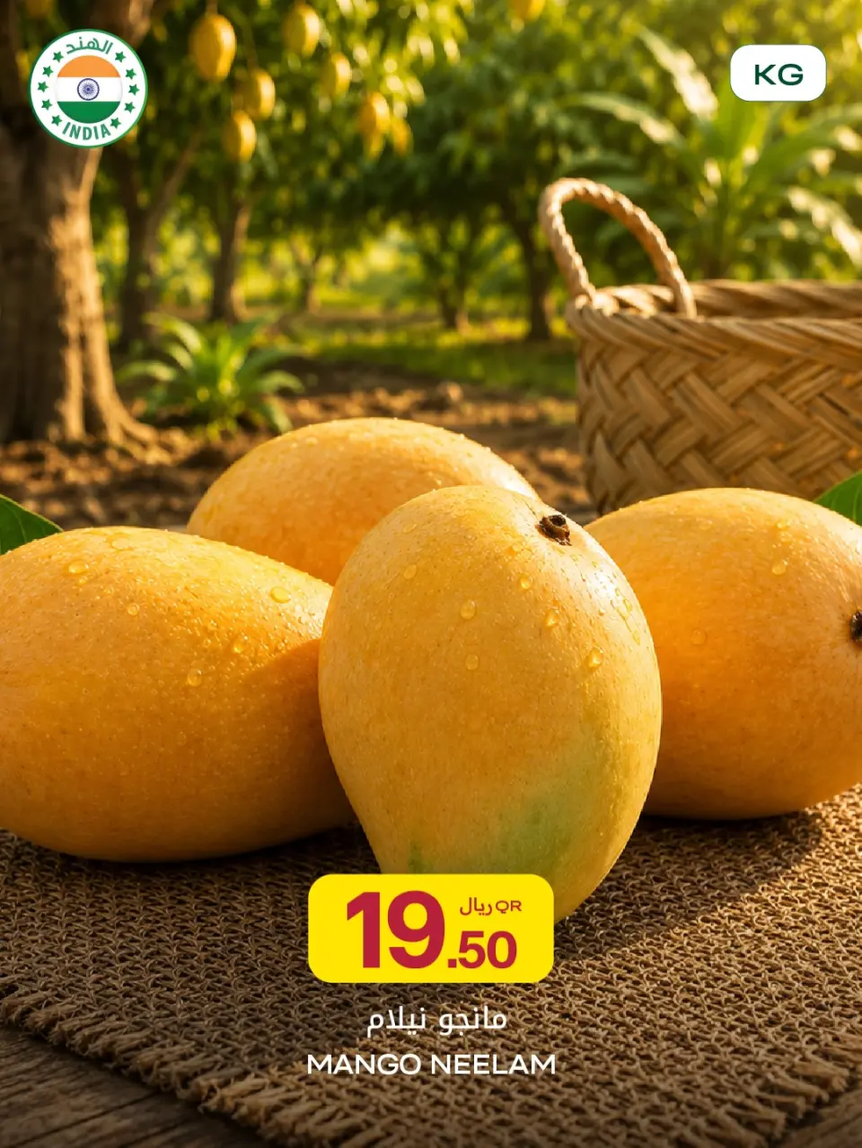 Offres Al Meera Qatar de 14 à 20 mai 2026 Offres Mango Week - Al Meera - Qatar - 14 mai 2026 – 20 mai 2026 - Page 12