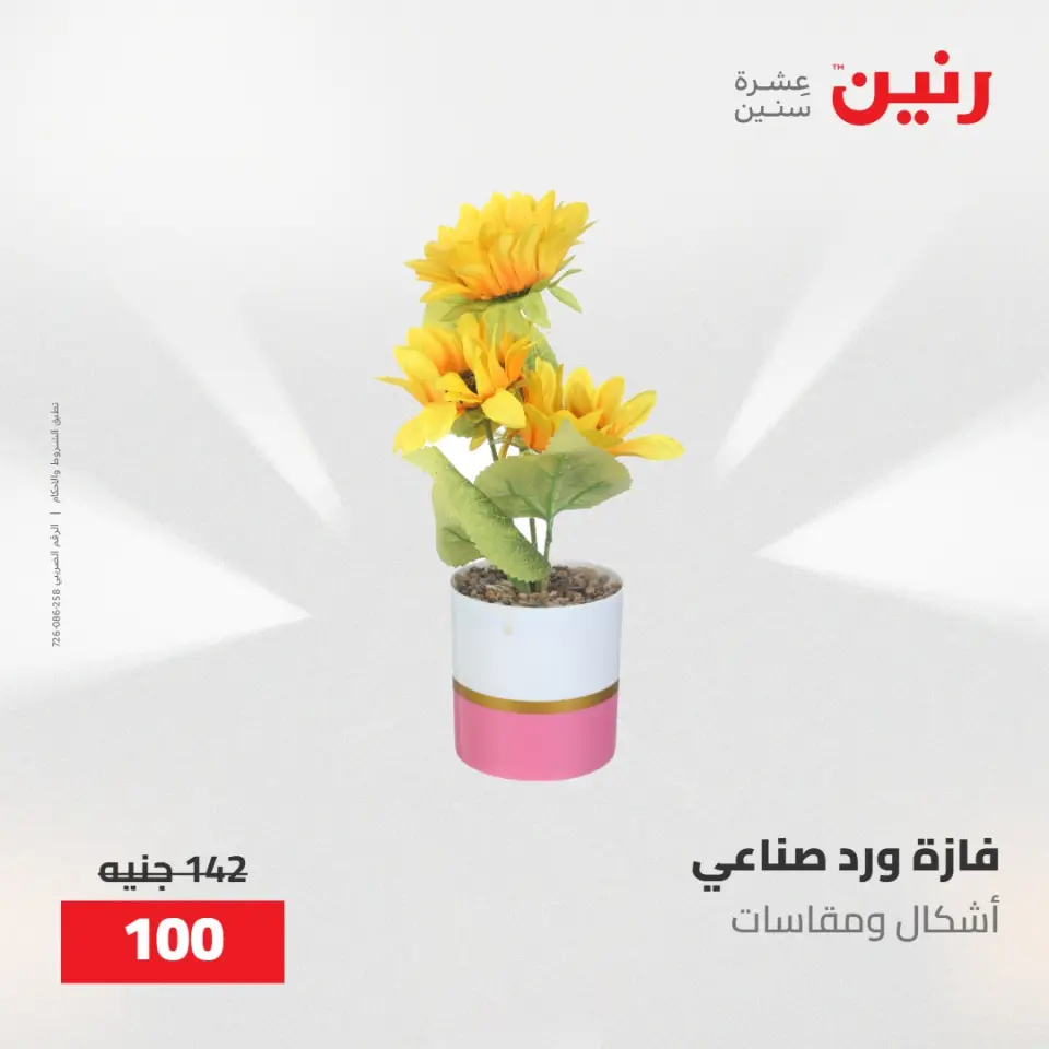 عروض رنين من ١٧ حتى ١٨ مايو ٢٠٢٦ عروض هدايا وديكورات - صفحة 65