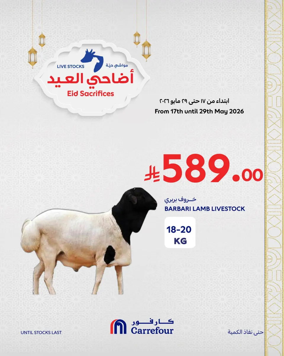 عروض كارفور السعودية من ٢ حتى ٨ ذو الحجة ١٤٤٧ هـ (١٩ إلى ٢٥ مايو ٢٠٢٦) عروض أضاحي العيد - صفحة 4