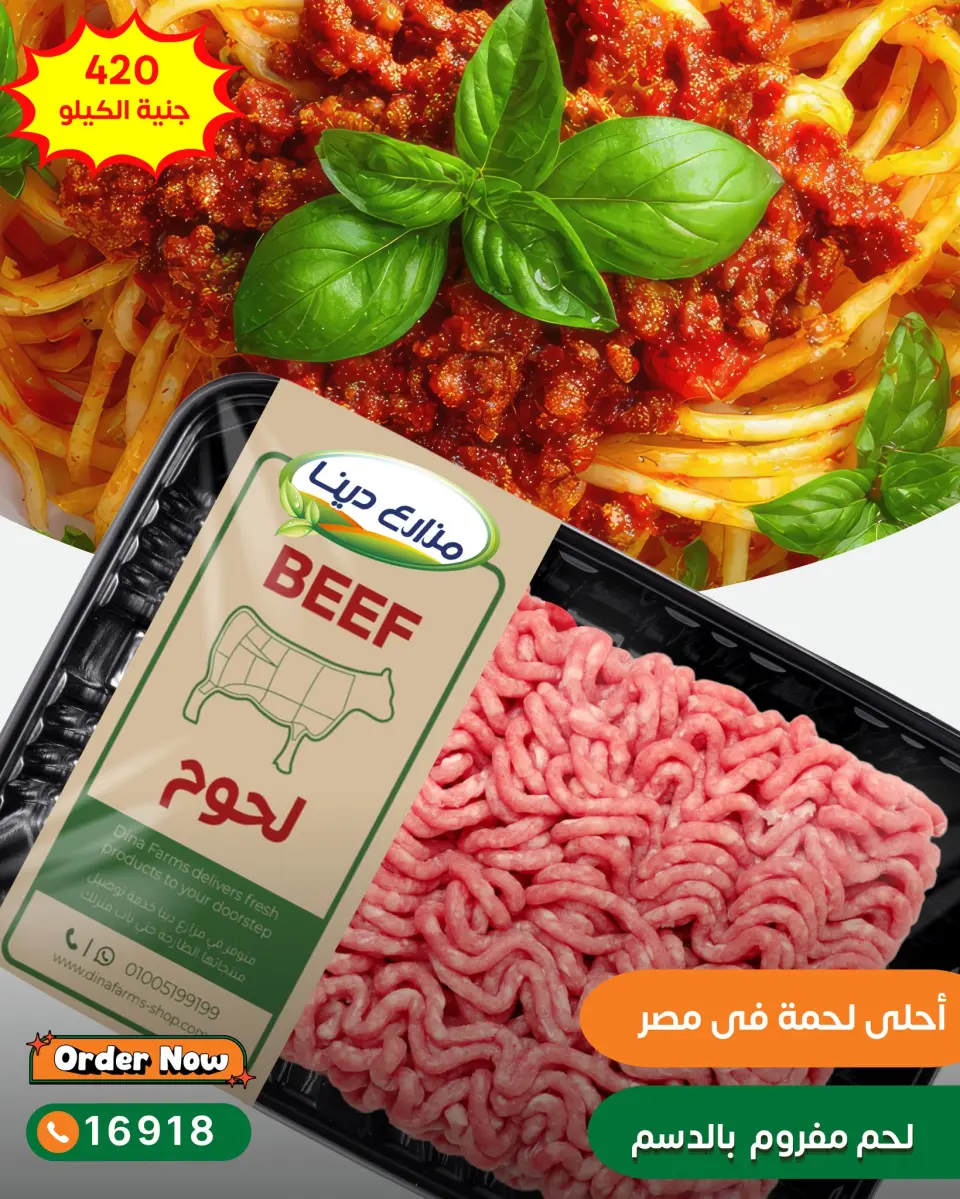 Dina Farms offers from 19 to 25 May 2026 Meat Offers - Page 10