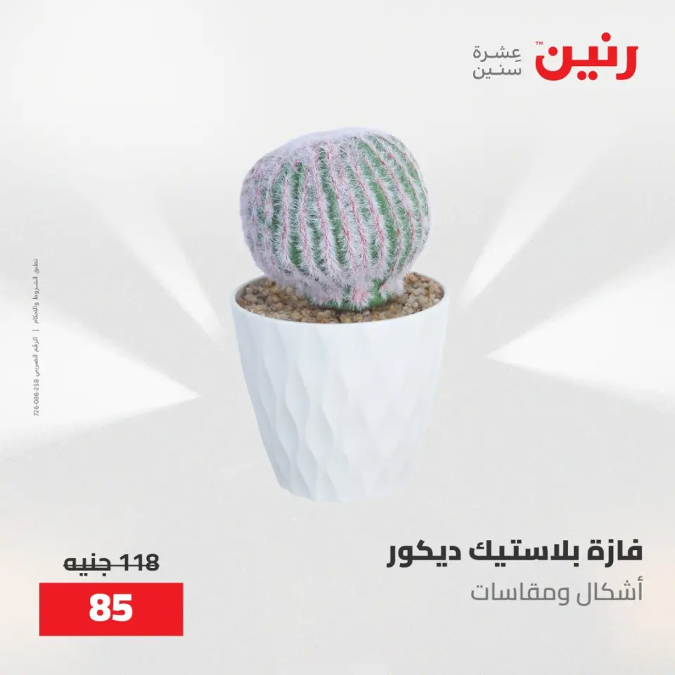 عروض رنين من ٢١ حتى ٢٣ مايو ٢٠٢٦ عروض هدايا وديكورات - صفحة 56
