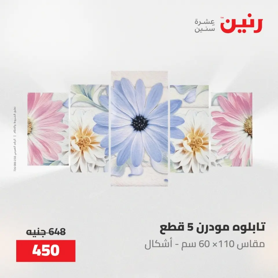 عروض رنين من ٢١ حتى ٢٣ مايو ٢٠٢٦ عروض هدايا وديكورات - صفحة 2