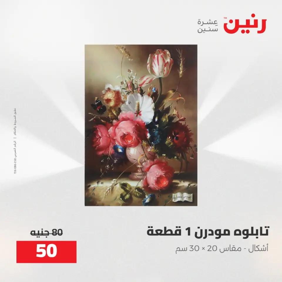 عروض رنين من ٢١ حتى ٢٣ مايو ٢٠٢٦ عروض هدايا وديكورات - صفحة 8