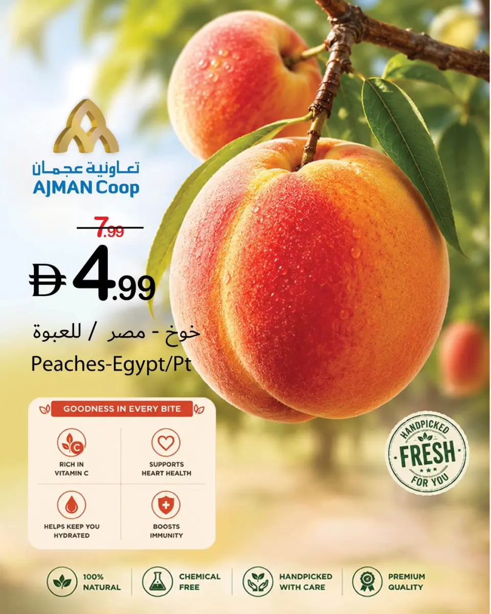 Ofertas de Cooperativa Ajmán de 21 a 27 mayo 2026 Ofertas de Eid al-Adha - Cooperativa Ajmán - Emiratos Árabes Unidos - 21 mayo 2026 – 27 mayo 2026 - Página 9