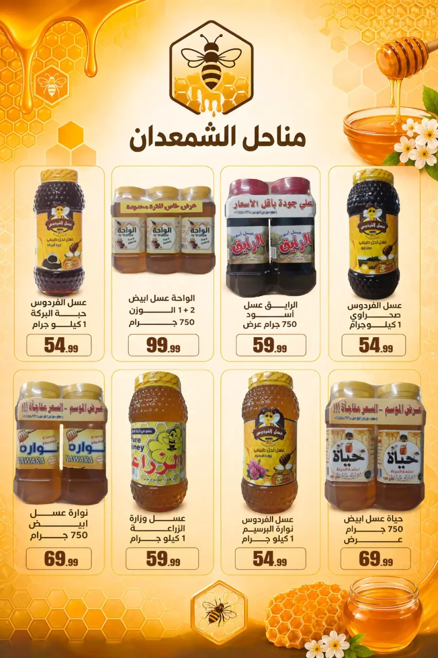 El Mahlawy Stores offers from 21 to 26 May 2026 Eid Al Adha Offers - Page 67