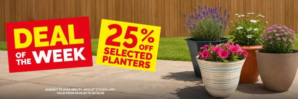 Ofertas de Poundstretcher Reino Unido de 25 a 30 mayo 2026 Grandes Marcas Precios bajos - Página 3