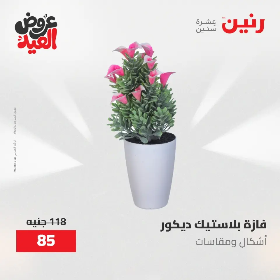 عروض رنين من ٢٨ مايو حتى ١ يونيو ٢٠٢٦ عروض هدايا وديكورات - صفحة 67