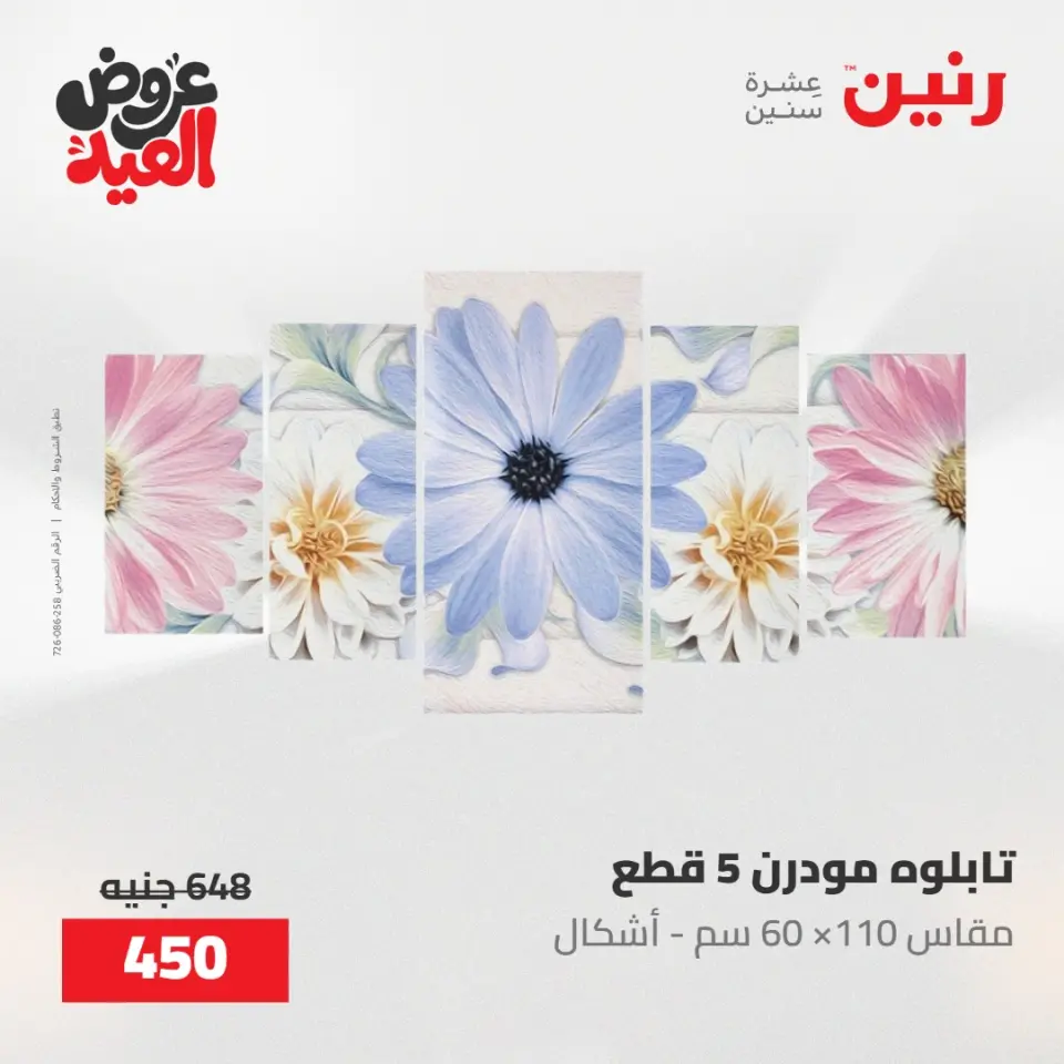 عروض رنين من ٢٨ مايو حتى ١ يونيو ٢٠٢٦ عروض هدايا وديكورات - صفحة 2