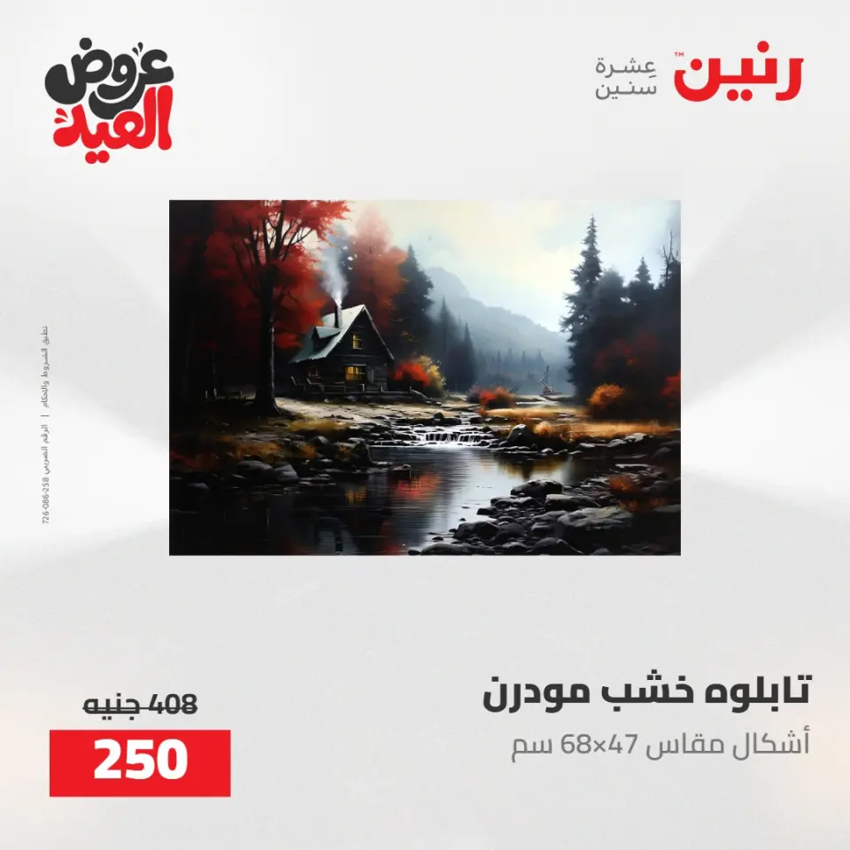 عروض رنين من ٢٨ مايو حتى ١ يونيو ٢٠٢٦ عروض هدايا وديكورات - صفحة 14