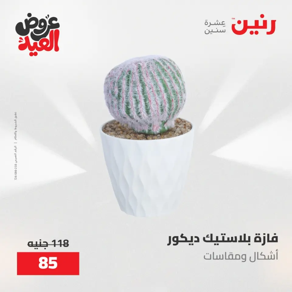 عروض رنين من ٢٨ مايو حتى ١ يونيو ٢٠٢٦ عروض هدايا وديكورات - صفحة 68