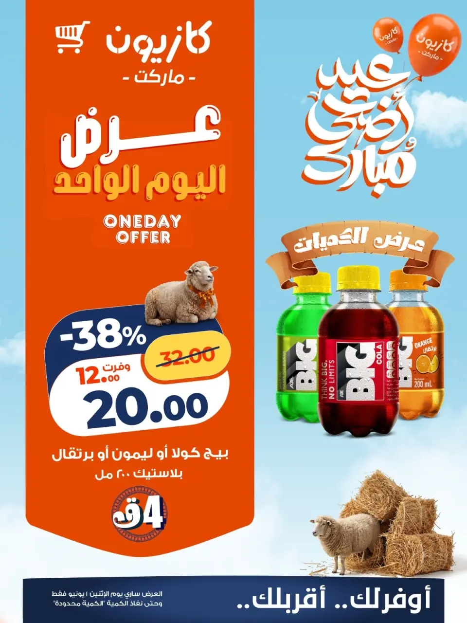 Kazyon Market Egypt offers Monday 1 June 2026 One day offer - Page 3