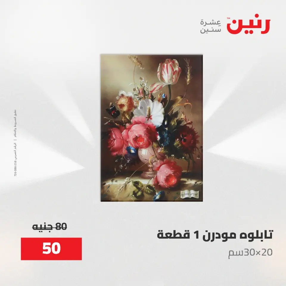 عروض رنين من ٢ حتى ٣ يونيو ٢٠٢٦ عروض هدايا وديكورات - صفحة 11