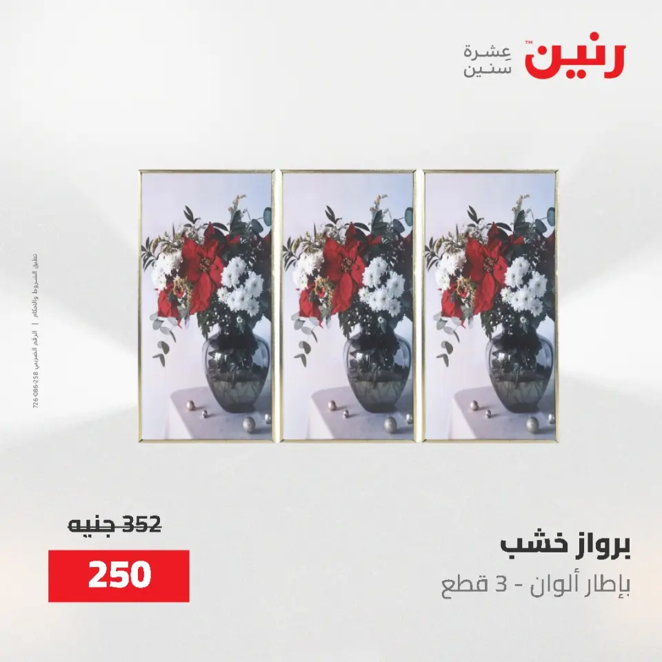 عروض رنين من ٢ حتى ٣ يونيو ٢٠٢٦ عروض هدايا وديكورات - صفحة 6